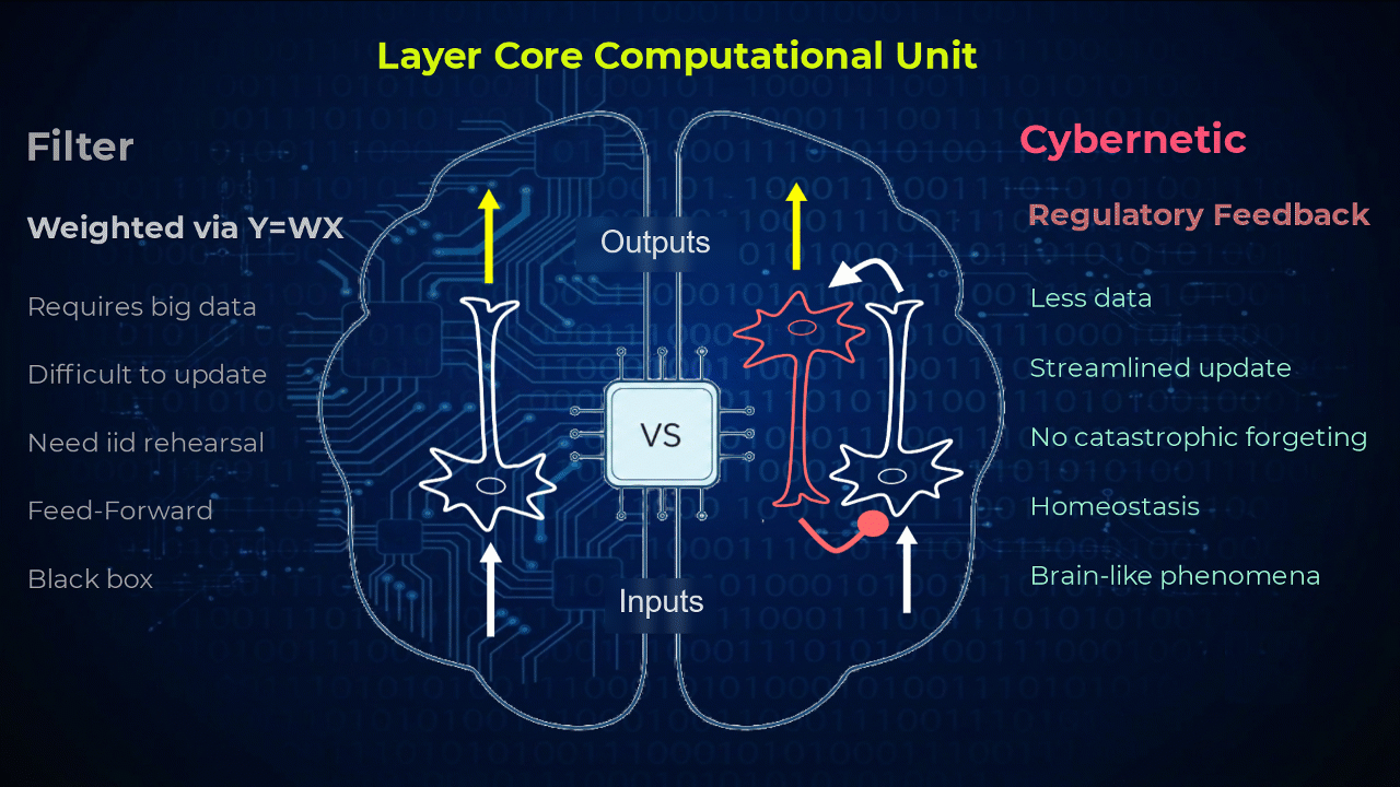 Animated diagram comparing two layer core computational units over a split brain illustration: a filter unit (weighted via Y=WX, requires big data, difficult to update, needs i.i.d. rehearsal, feed-forward, black box) versus a cybernetic regulatory feedback unit (less data, streamlined updates, no catastrophic forgetting, homeostasis, brain-like phenomena).